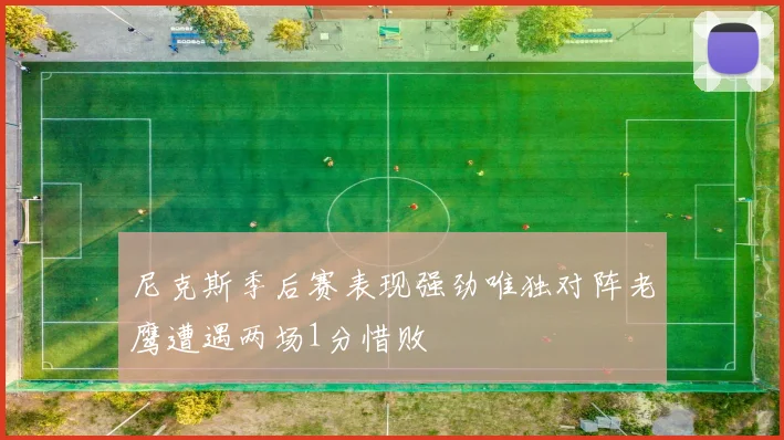 尼克斯季后赛表现强劲唯独对阵老鹰遭遇两场1分惜败