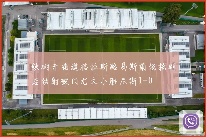 铁树开花道格拉斯路易斯前场抢断后劲射破门尤文小胜尼斯1-0