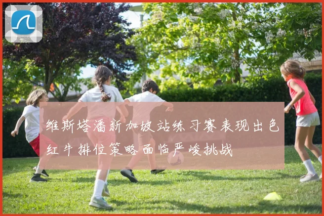 维斯塔潘新加坡站练习赛表现出色红牛排位策略面临严峻挑战